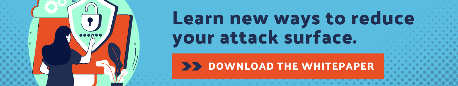 RunSafe Security Whitepaper Download